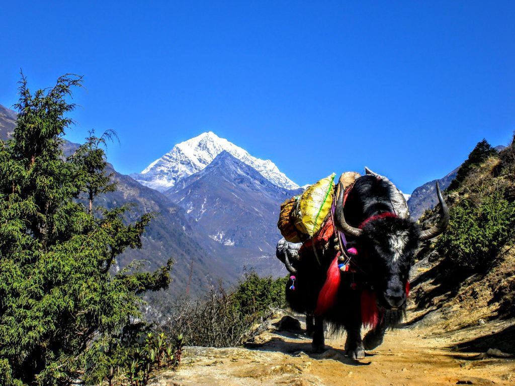 Everest-base-camp-complete-guide 