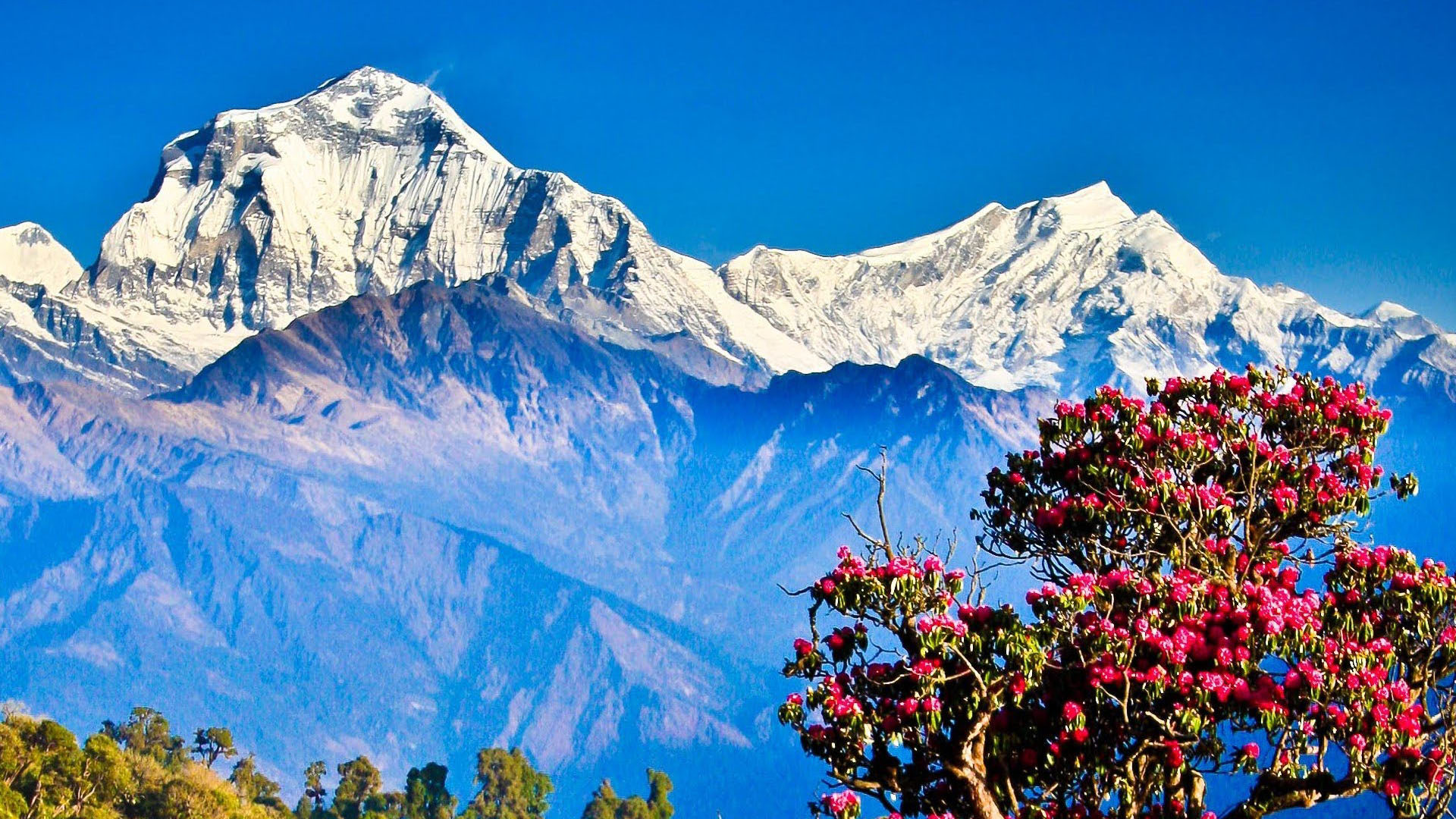 Nepal’s Top 10 Hiking Routes for Beginner Trekkers